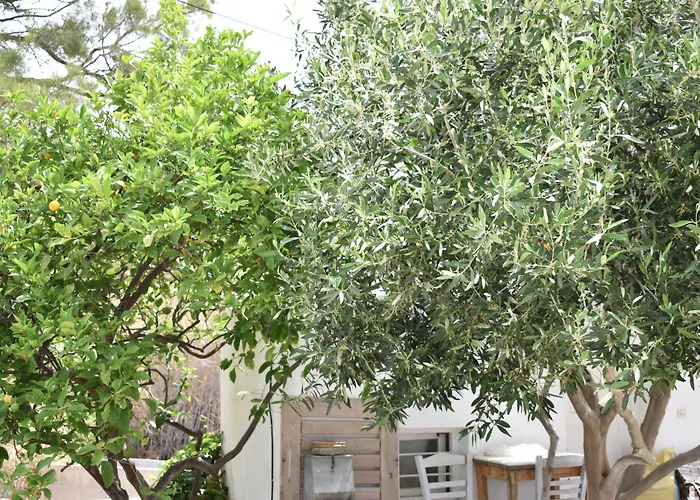 Andriani'S Guest House Mykonos Town
