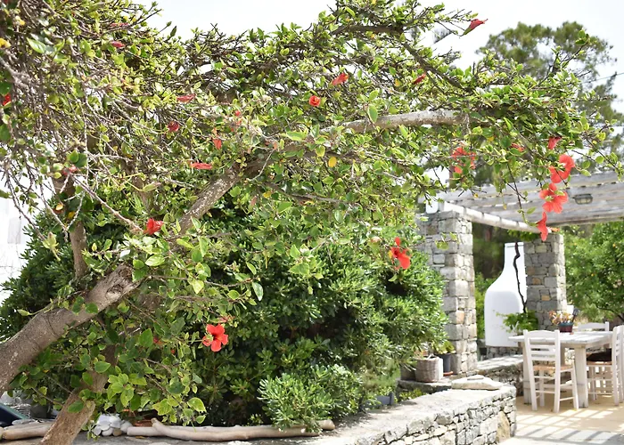 Andriani'S Guest House Mykonos Town